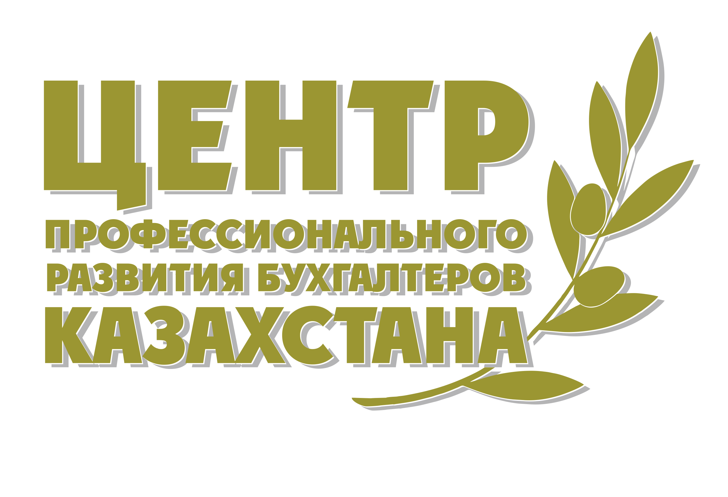 ТОО "Центр профессионального развития бухгалтеров Казахстана"